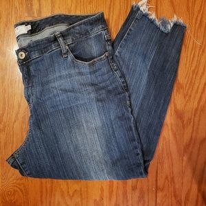 Torrid Denim